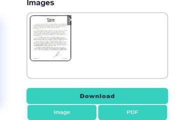 download button, image format, pdf format button